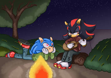 Campfire Night ~