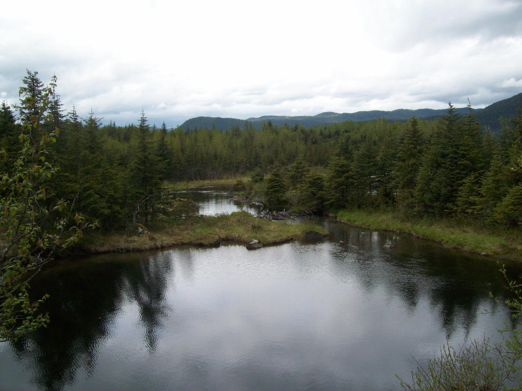 Tongass National Forest