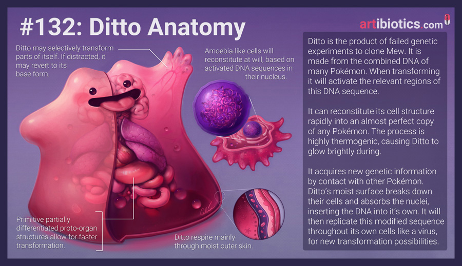 Where Does 'Ditto' Come From?