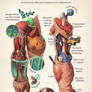 Unilateral causes of limb swelling