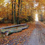 Logs