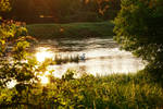 Evening by the river II