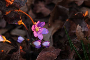 And so it begins III