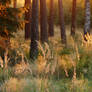 Spruce, seven pines and a birch