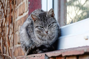 Let's judge each other II