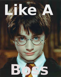 Harry is a Boss