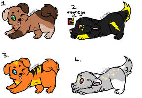 Adoptable wolfs/dogs