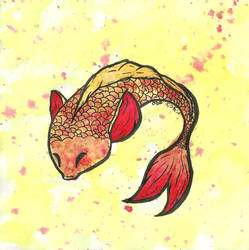 The Koi Challenge: The Summer's Koi