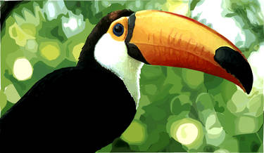 Vector art - toucan