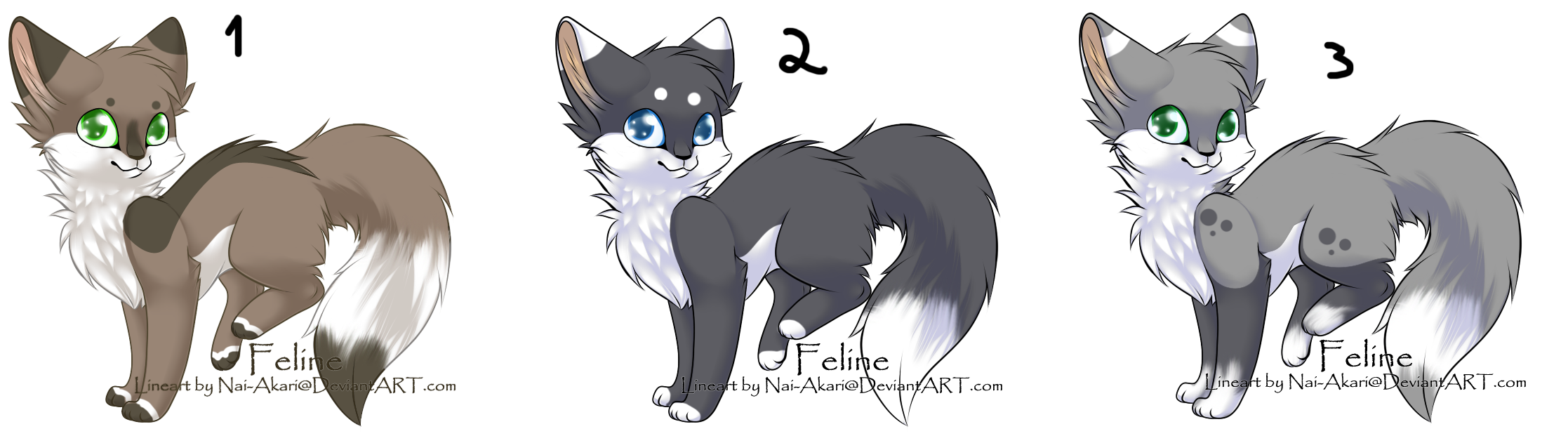 cat adopts -closed-