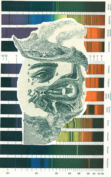 Human spectrum by Virgo1 on DeviantArt