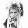 David Bowie (Labyrinth) (2)