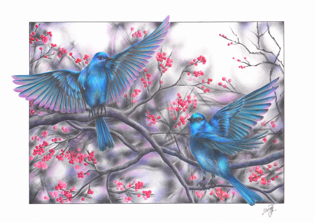 Birds Deviantart birds by MaryTL on DeviantArt
