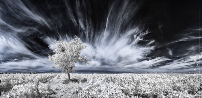 Calm before strom (INFRARED)