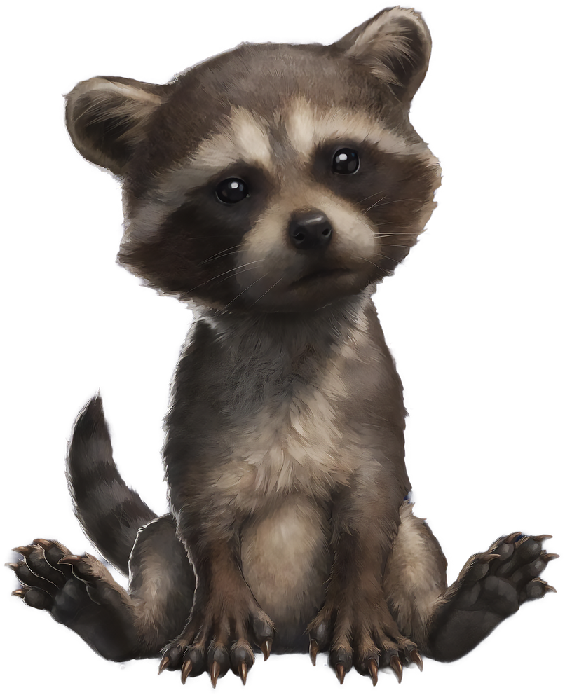 Baby (Rocket) Raccoon: GOTG3 PNG by IWasBoredSoIDidThis on DeviantArt