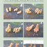 How to sculpt paws