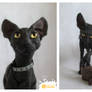 Sphynx Cat #1 of limited edition