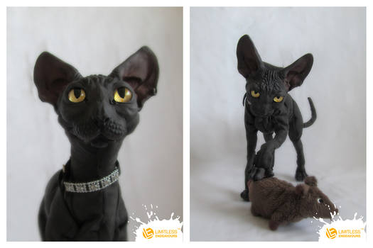 Sphynx Cat #1 of limited edition