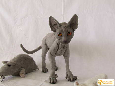 Commissioned Sphynx Cat Doll