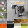 NEW pose-able Fox DIY-Kit SOLD OUT