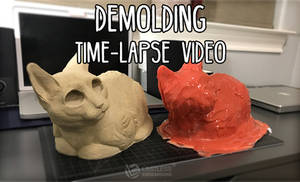 Demolding Time-Lapse Video --- VIEW IN STASH