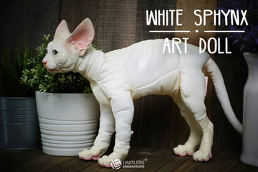 White Sphynx Commission