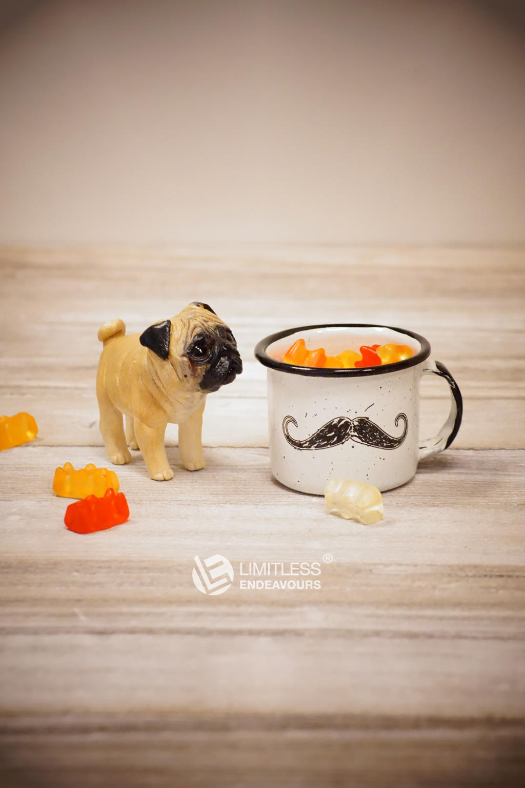 Miniature Pugs