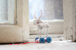 white deer white winter by da-bu-di-bu-da