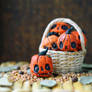 pumpkins