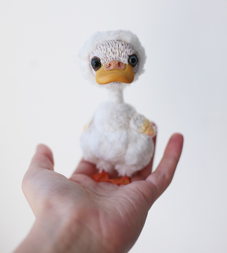 little duck