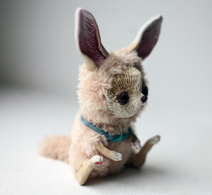 baby fennec fox