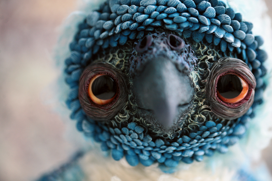 blue parrot