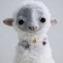 sheep