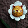 kitty flower