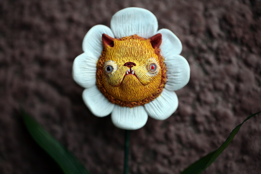 kitty flower