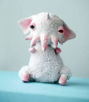 Baby Albino Elephant Cthulhu