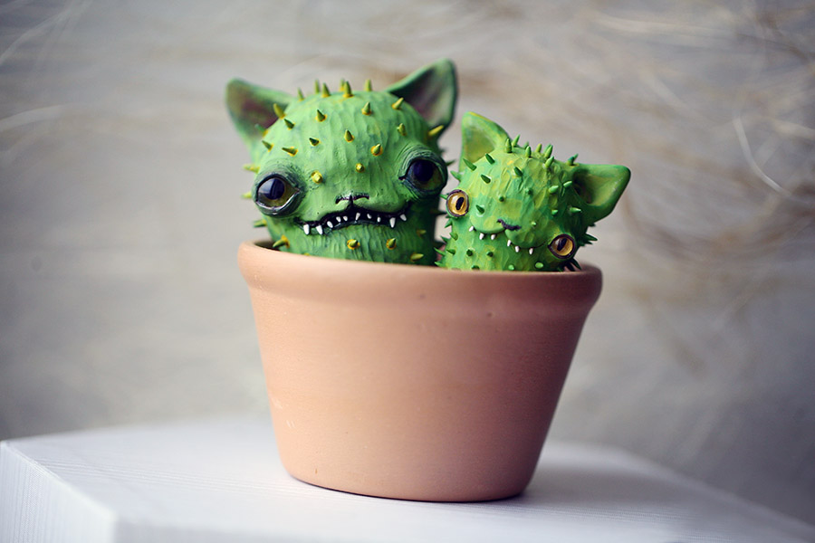 cactus buddies