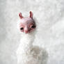 white llama