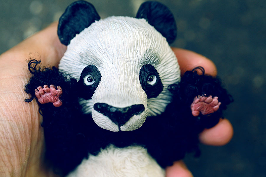 panda paws