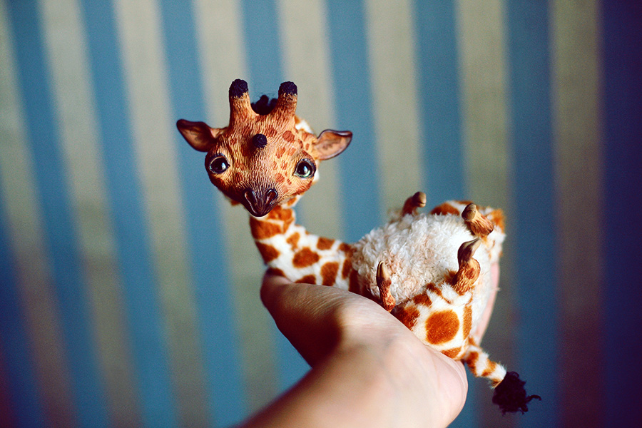 giraffe