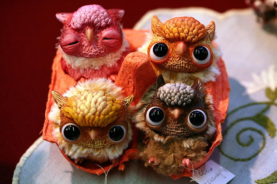 owls dollshow