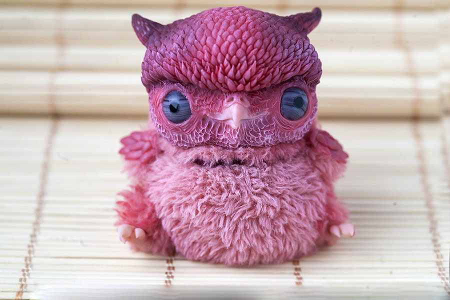 pink owl