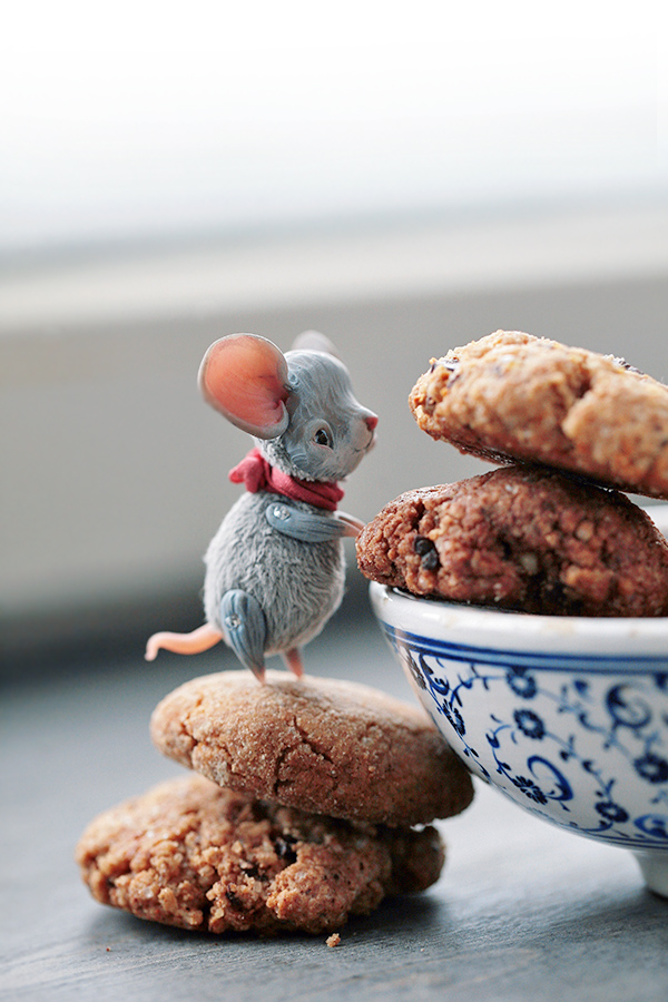 the cookies and the mouse