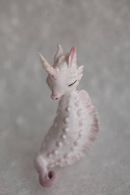 albino seahorse