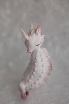 albino seahorse