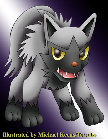 Pokemon 261 Poochyena