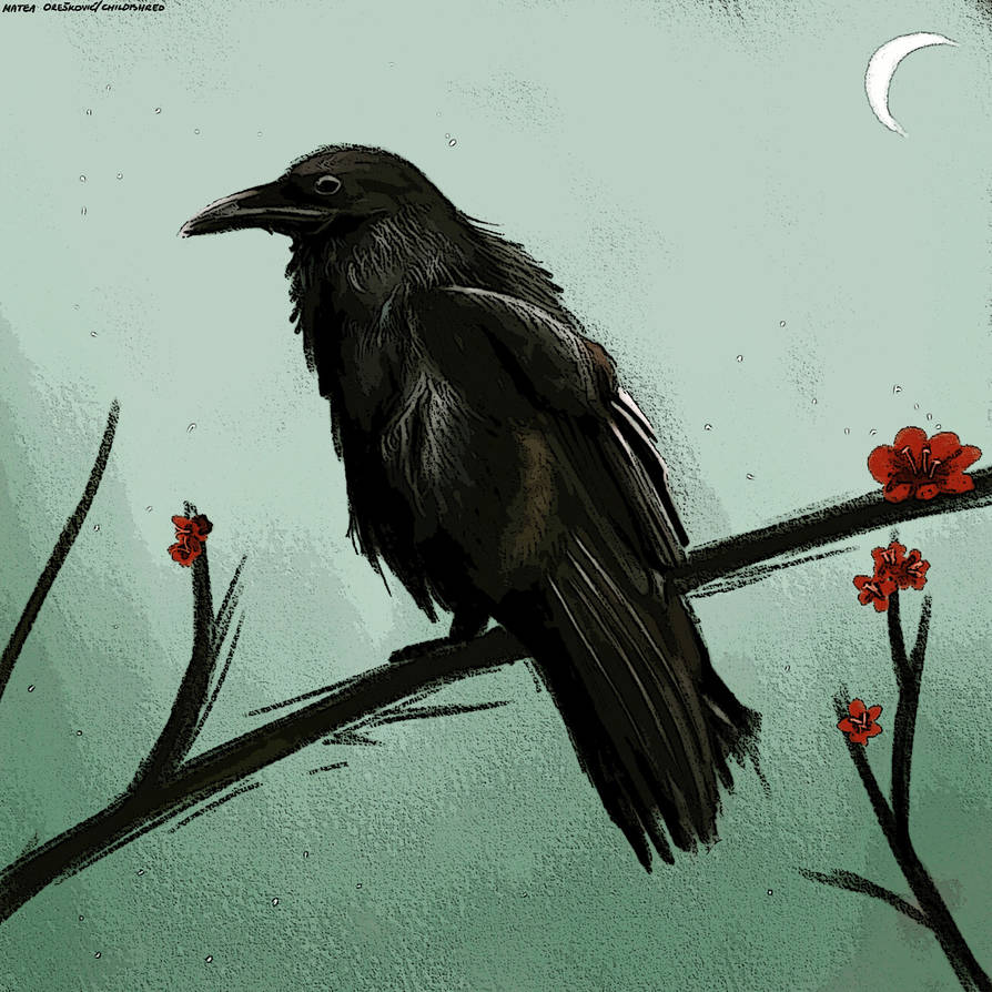 Raven photo study by childishred on DeviantArt