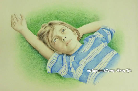 Boyhood (Little Mason)