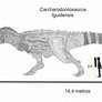 Carcharodontosaurus iguidensis
