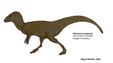 Allosaurus europaeus